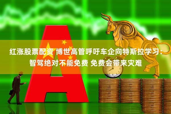红涨股票配资 博世高管呼吁车企向特斯拉学习：智驾绝对不能免费 免费会带来灾难