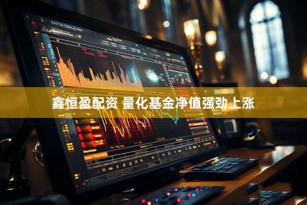 鑫恒盈配资 量化基金净值强劲上涨
